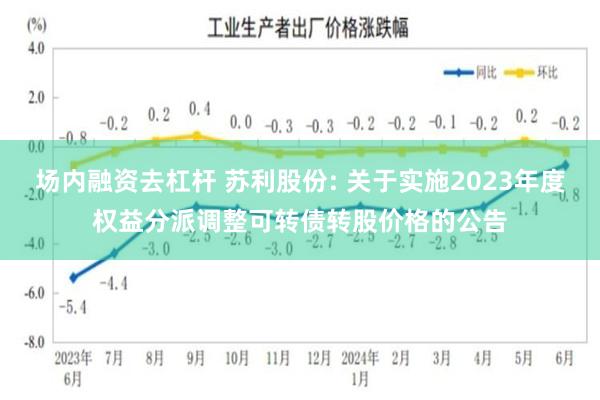 场内融资去杠杆 苏利股份: 关于实施2023年度权益分派调整可转债转股价格的公告