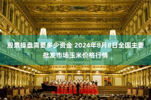 股票操盘需要多少资金 2024年8月8日全国主要批发市场玉米价格行情