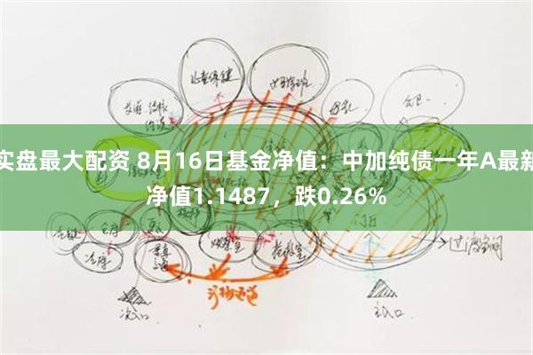 实盘最大配资 8月16日基金净值：中加纯债一年A最新净值1.1487，跌0.26%