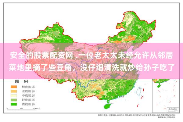 安全的股票配资网 .一位老太太未经允许从邻居菜地里摘了些豆角，没仔细清洗就炒给孙子吃了