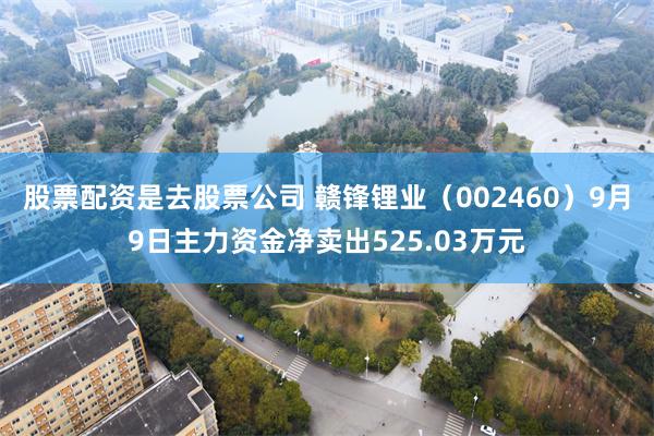 股票配资是去股票公司 赣锋锂业（002460）9月9日主力资金净卖出525.03万元