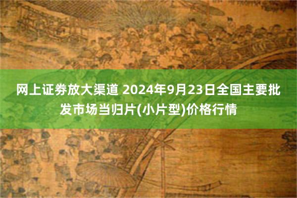 网上证劵放大渠道 2024年9月23日全国主要批发市场当归片(小片型)价格行情