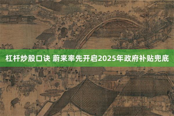 杠杆炒股口诀 蔚来率先开启2025年政府补贴兜底