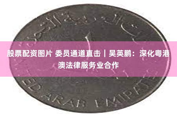 股票配资图片 委员通道直击｜吴英鹏：深化粤港澳法律服务业合作