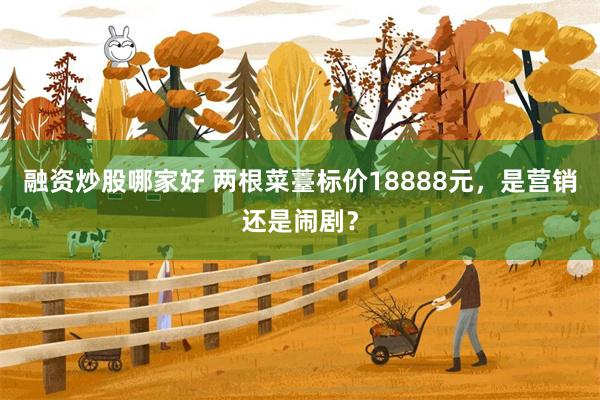 融资炒股哪家好 两根菜薹标价18888元，是营销还是闹剧？